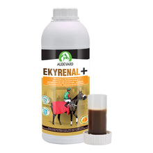 Bote de Ekyrenal Audevard drenaje para caballos con vaso medidor dosificador