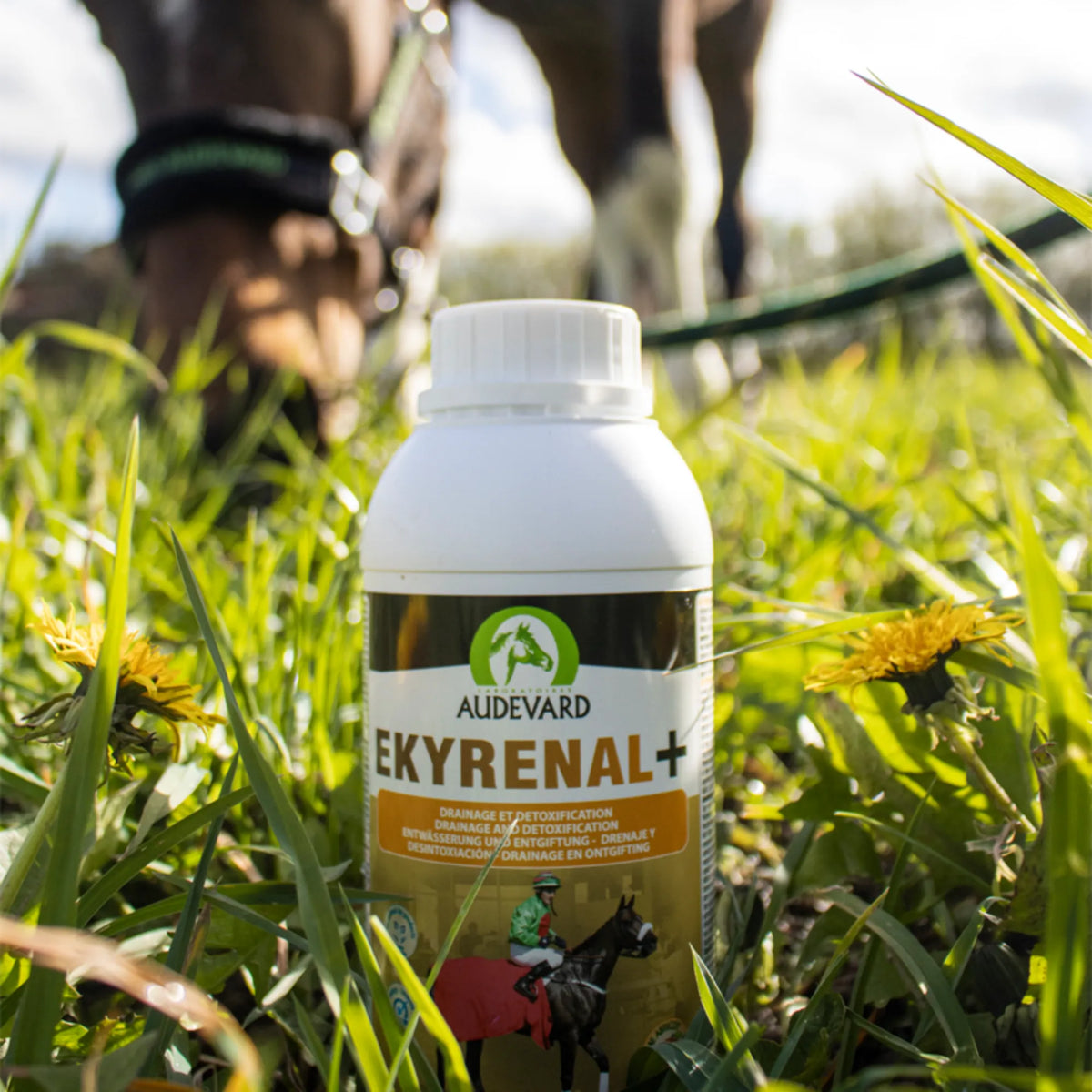 Bote de Ekyrenal Audevard drenaje para caballos sobre la hierba de un prado con un caballo al fondo