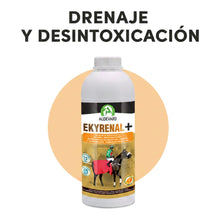 Bote de Ekyrenal Audevard drenaje para caballos sobre círculo naranja con el titular de drenaje y desintoxicación