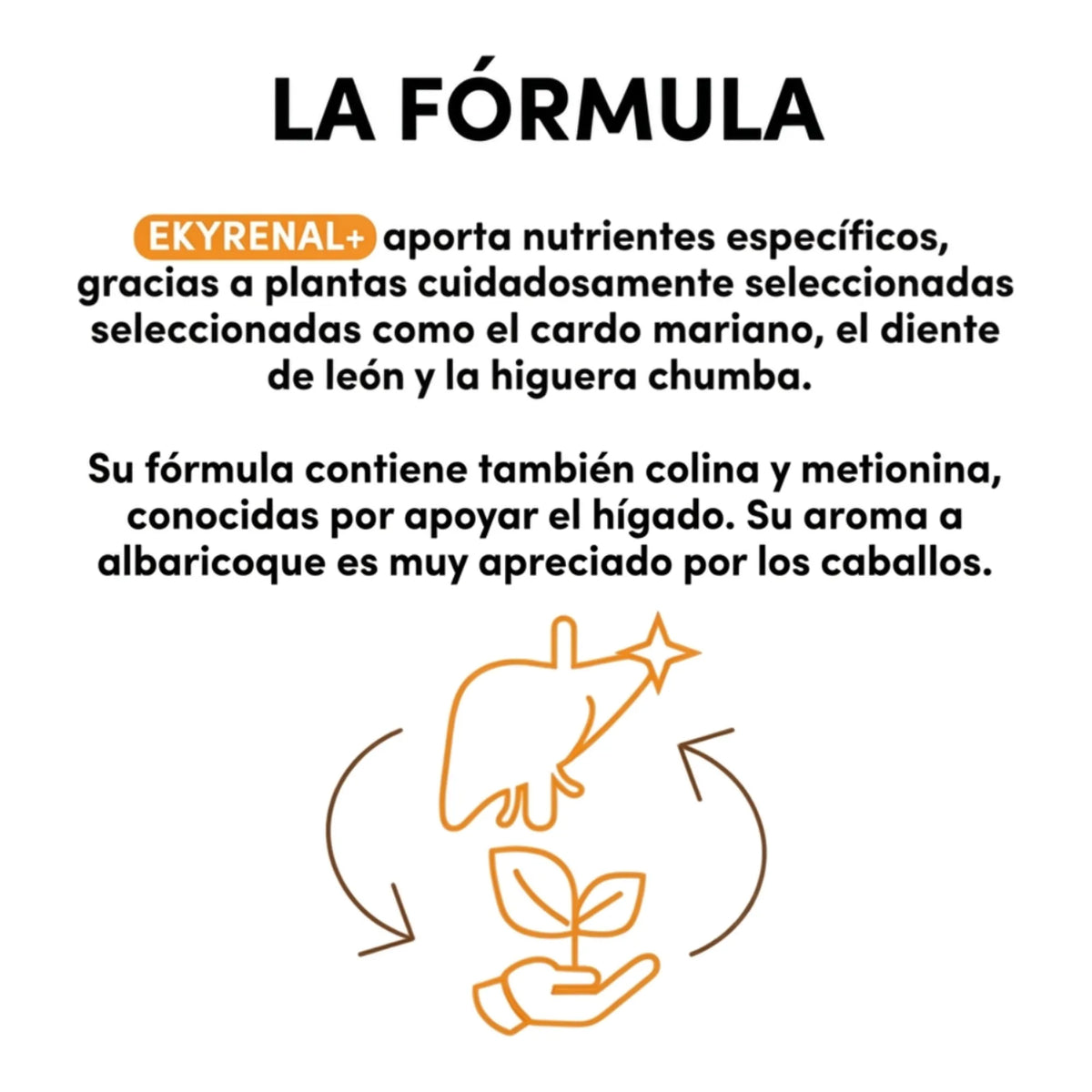 Infografía de la fórmula con cardo mariano, diente de león, higuera chumba, colina y metionina