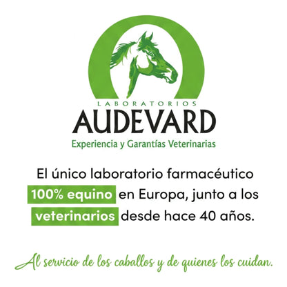 Logotipo de Laboratorios Audevard, laboratorio farmacéutico equino con 40 años de experiencia junto a veterinarios