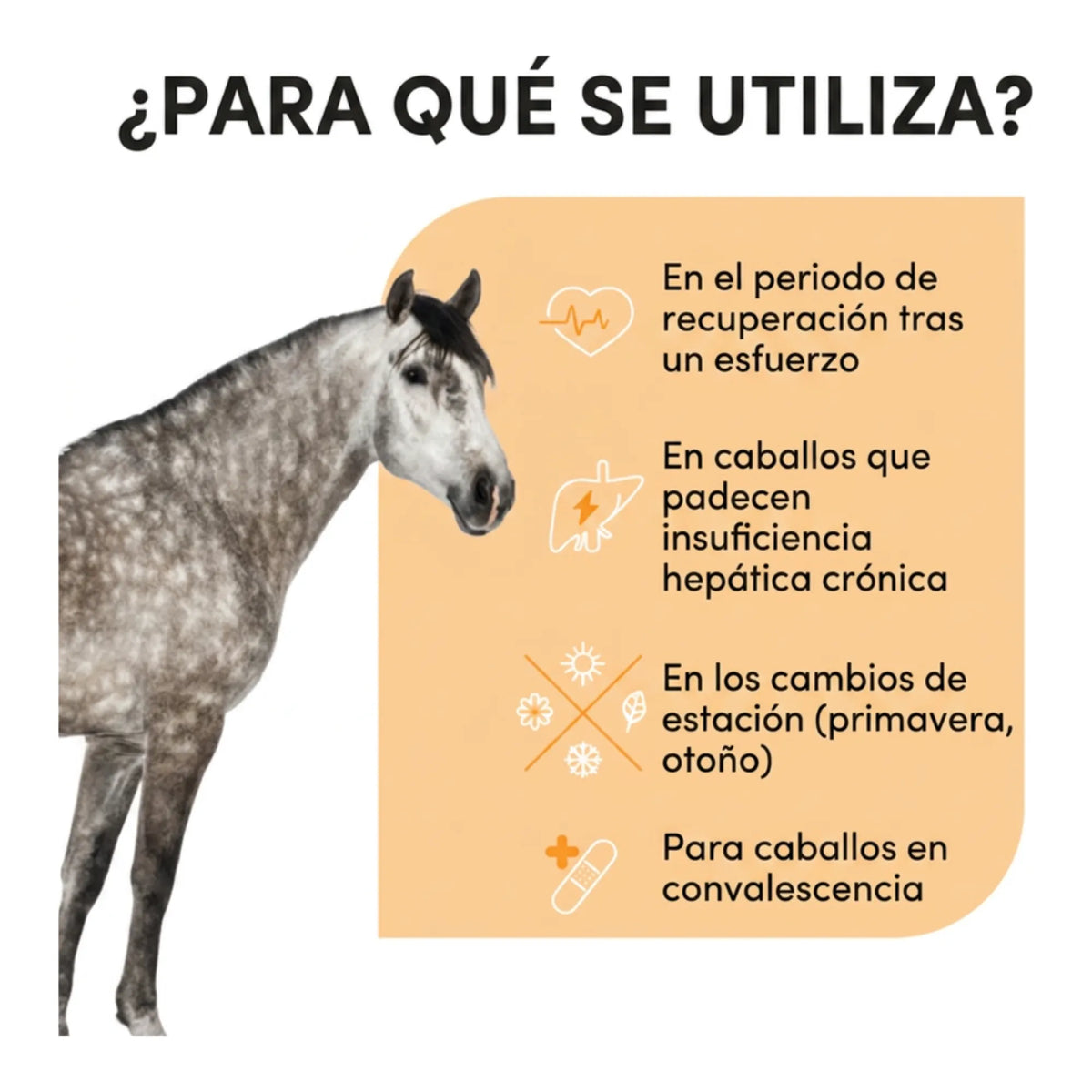 Infografía de usos: recuperación tras el esfuerzo, cambios de estación y convalecencia