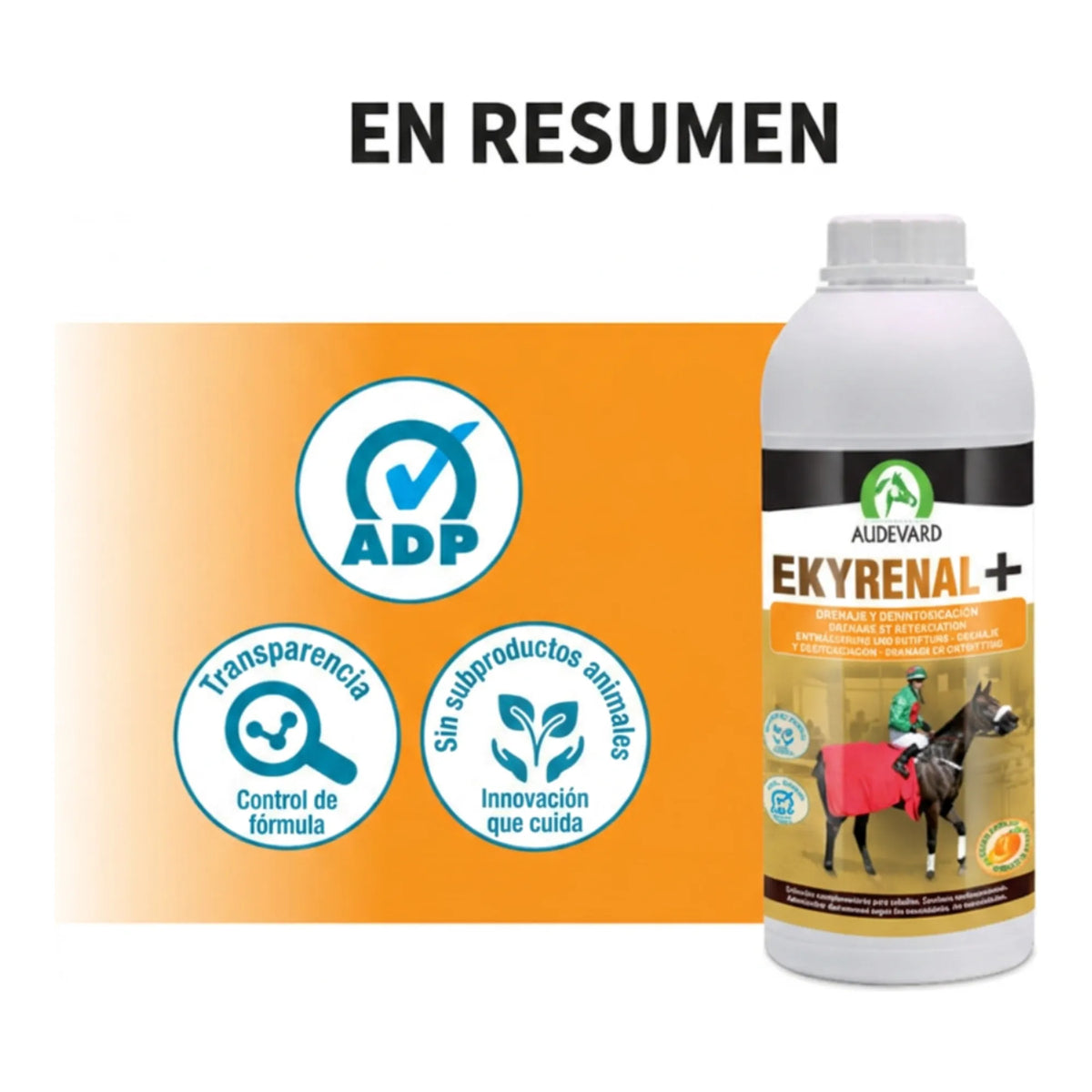 Resumen visual de Ekyrenal Audevard drenaje para caballos con sellos de calidad junto al bote