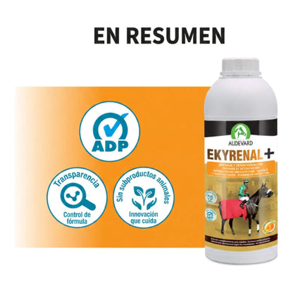 Resumen visual de Ekyrenal Audevard drenaje para caballos con sellos de calidad junto al bote