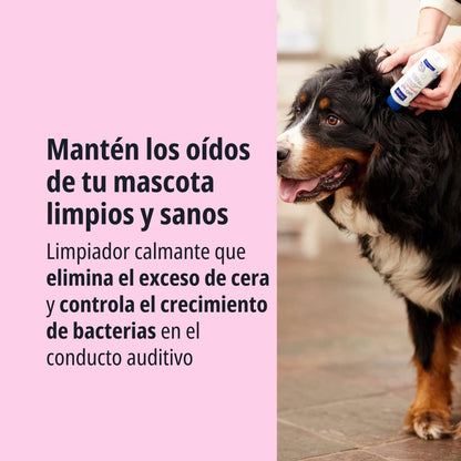 Perro Bernés de Montaña negro marrón y blanco al aire libre siendo tratado en el oído con EpiOtic Virbac por una persona, texto Mantén los oídos de tu mascota limpios y sanos, limpiador calmante que elimina el exceso de cera y controla el crecimiento de bacterias en el conducto auditivo