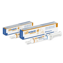 Pro-enteric Advanced para perros en jeringa de 30 ml de Bioiberica, jeringa de 30 ml de pasta palatable, EAN 8430336092066