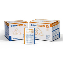 Entero-Chronic de Bioiberica para perros y gatos, en sobres, estuche de 60 sobres de 4 g de polvo palatable, EAN 8430336091083