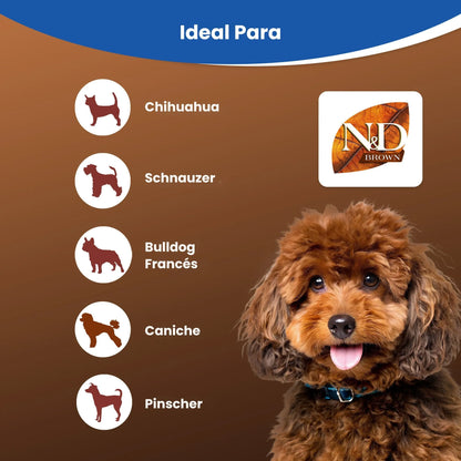 Infografía de razas de pelo oscuro con un caniche marrón y cinco siluetas
