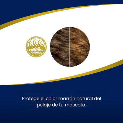 Sello dorado Color Protection Formula al lado de un círculo de pelo marrón en dos mitades