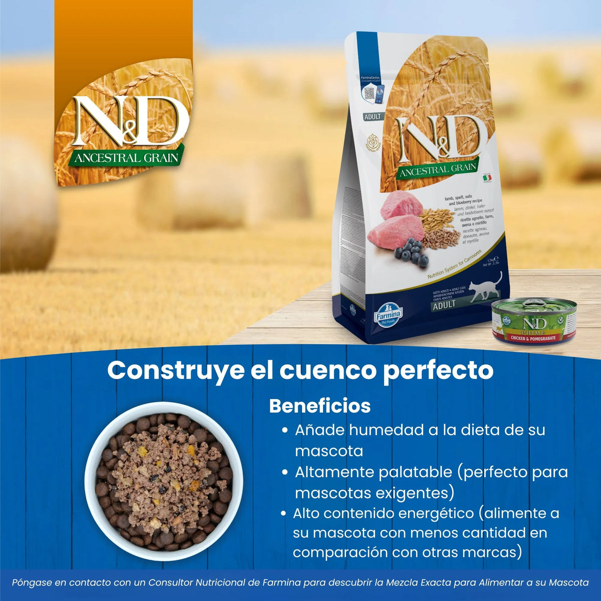 Bolsa del pienso Ancestral Grain cordero junto a un bol de croquetas, sobre un fondo de campo.