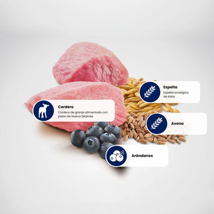 Fotografía de los ingredientes principales: carne de cordero cruda, espiga de espelta y arándanos.