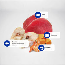 Lámina informativa de Farmina con los ingredientes crudos de la receta: atún, bacalao, calabaza y gambas.