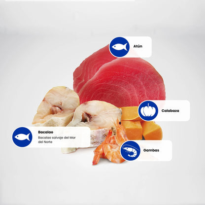 Lámina informativa de Farmina con los ingredientes crudos de la receta: atún, bacalao, calabaza y gambas.