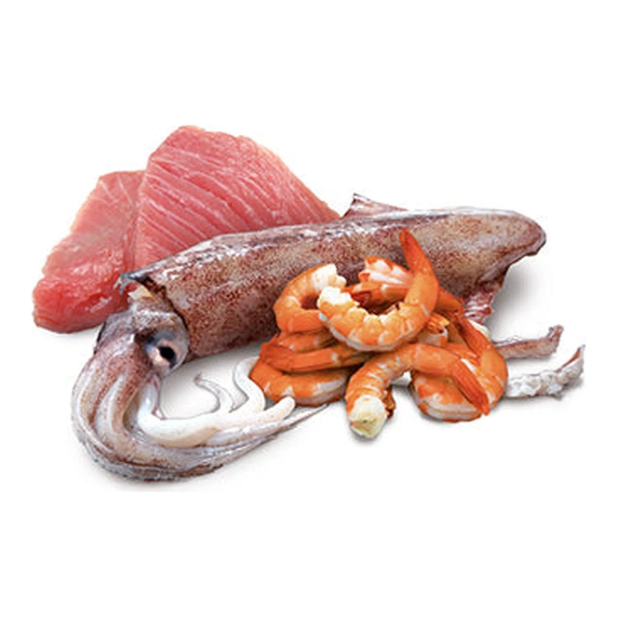 Ingredientes crudos de esta comida húmeda atún calamar: atún, calamar entero y gambas peladas.
