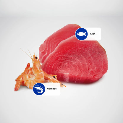 Lámina informativa de Farmina con los ingredientes crudos de la receta: atún y gambas.