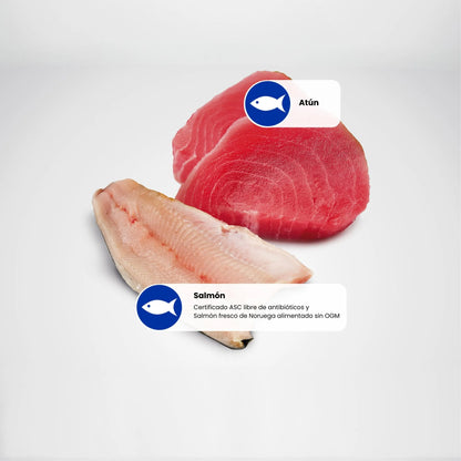 Lámina informativa de Farmina con los ingredientes crudos de la receta: lomo de atún y filete de salmón.