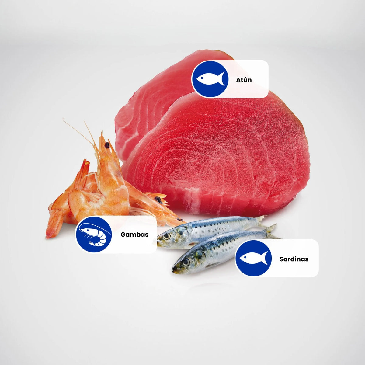 Lámina informativa de Farmina con los ingredientes crudos de la receta: atún, sardinas y gambas.