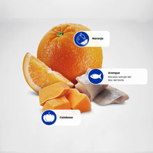 Fotografía de los ingredientes: naranja, dados de calabaza y un filete de pescado, con etiquetas señalando cada uno.