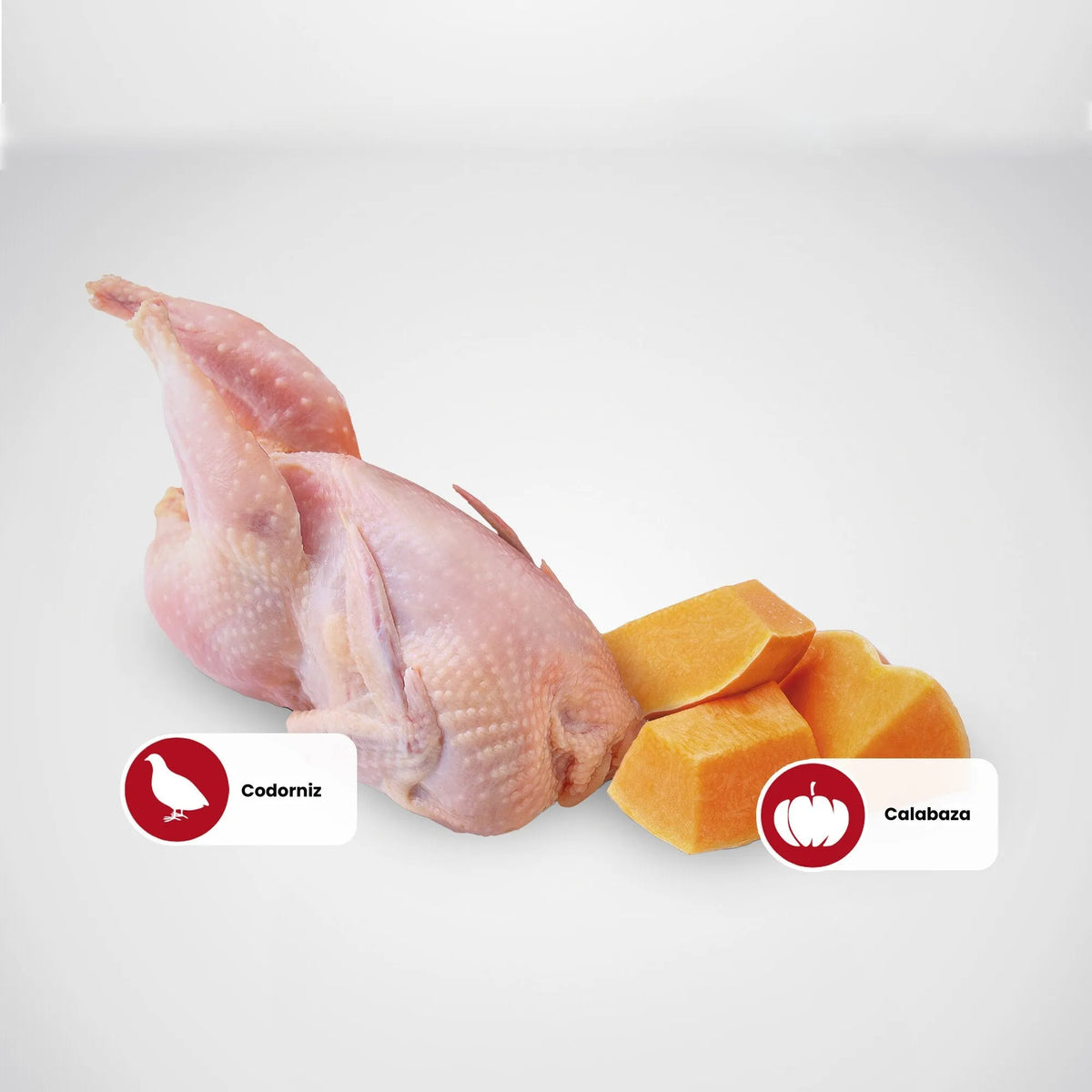 Ilustración con una codorniz entera y dados de calabaza, los dos ingredientes principales de la receta.
