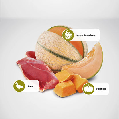 Pienso Farmina ND Cat Pumpkin Pato - Alimento Premium para Gatos