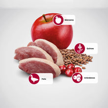 Ingredientes del pienso: manzana, quinoa, pato y arándanos rojos