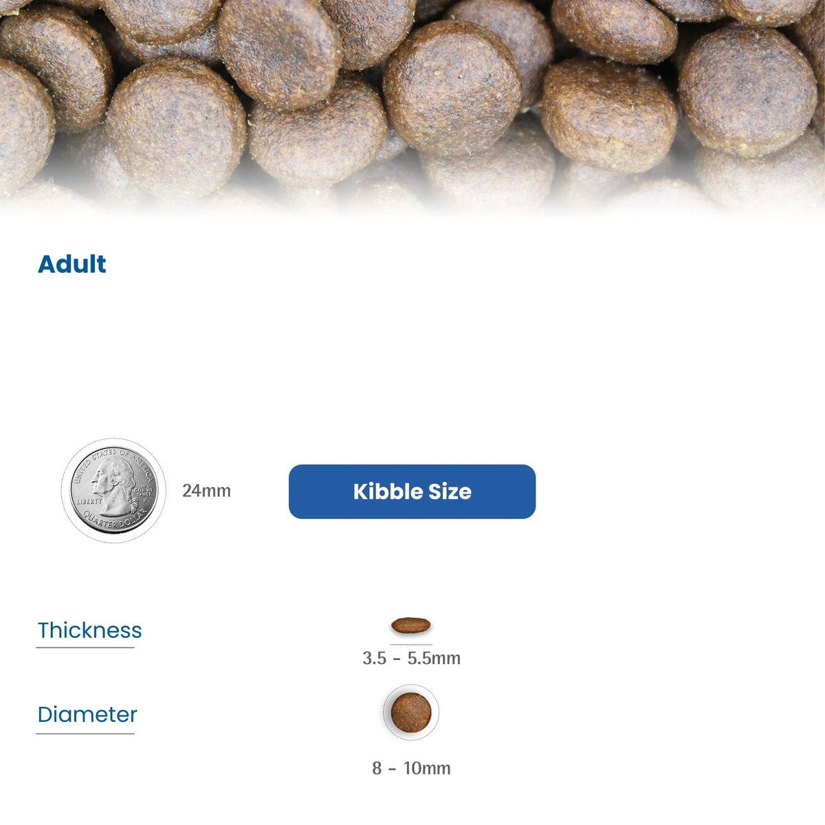 Infografía con el tamaño de las croquetas para gatos adultos, comparado con una moneda.