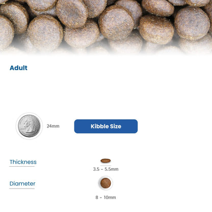 Infografía con el tamaño de las croquetas para gatos adultos, comparado con una moneda.