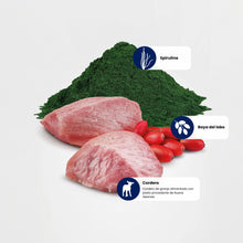 Fotografía de los ingredientes: carne de cordero, espirulina en polvo y bayas de goji etiquetados.
