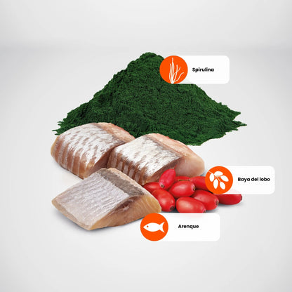 Fotografía de los ingredientes: filetes de arenque, espirulina en polvo y bayas de goji etiquetados.