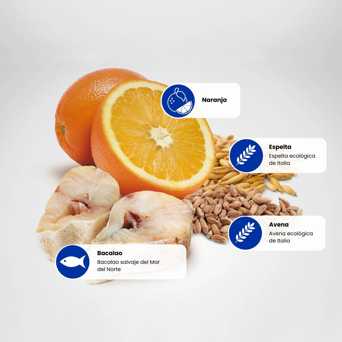 Frontal del envase de alimento seco completo N&D Ocean para razas pequeñas