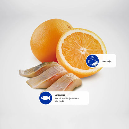 Frontal del envase de alimento seco completo de pescado azul sin cereales