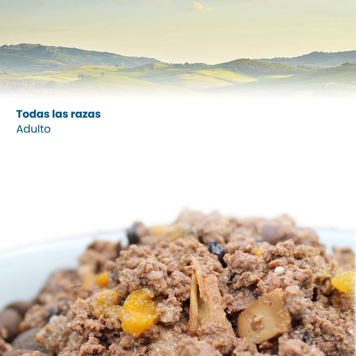 Comida húmeda N&D Ocean servida en un plato para perros adultos de cualquier raza