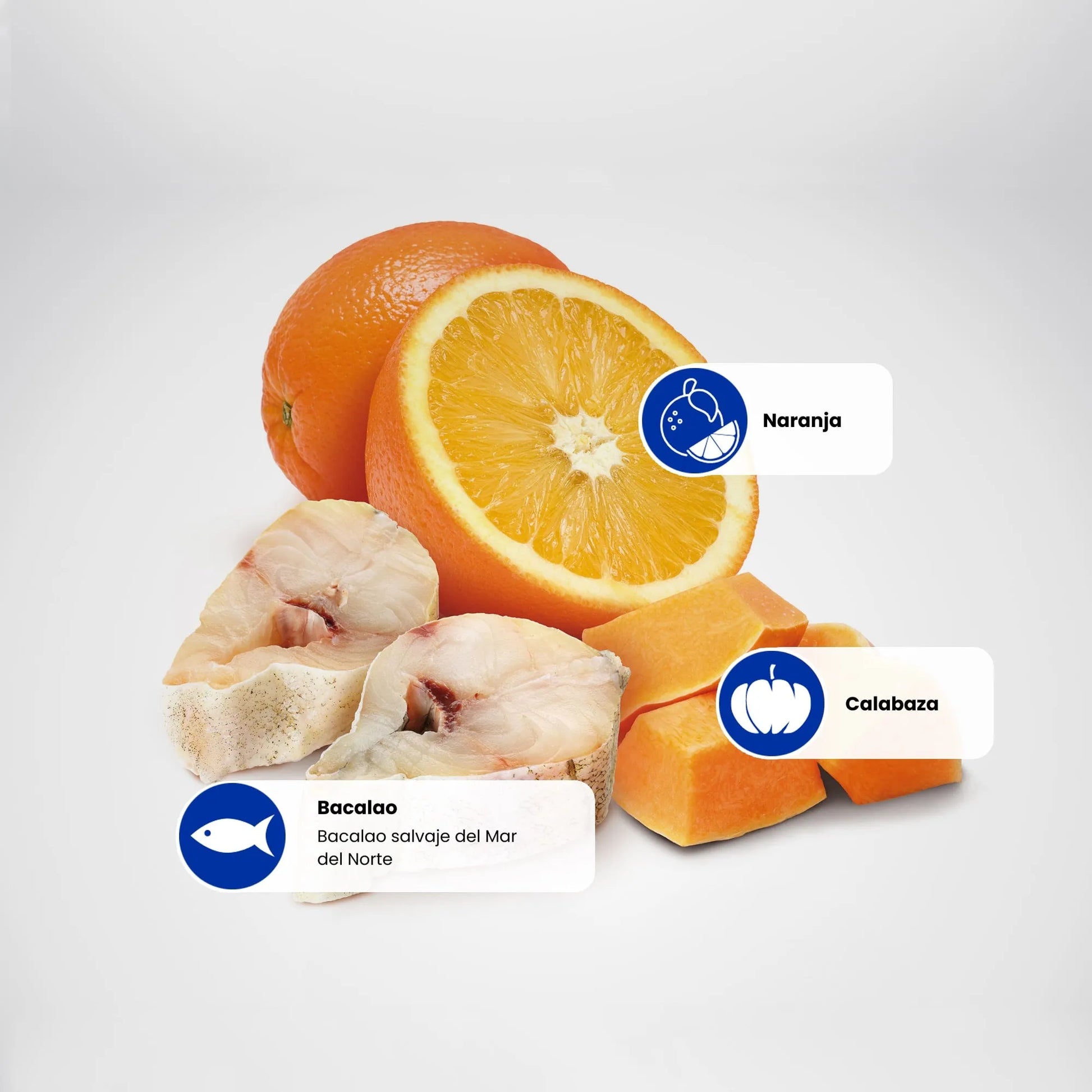 Pienso Farmina ND Ocean Pumpkin Bacalao - Marino Premium Pequeño