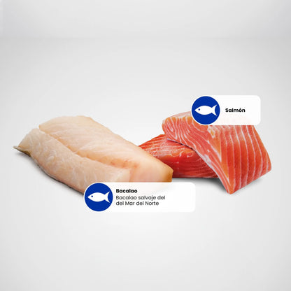 Filete de salmón y filete de bacalao crudos, ingredientes de la receta N&D Ocean