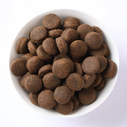 Croquetas de alimento seco de pescado para perro adulto