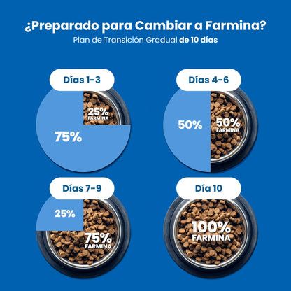 Bolsa cerrada de comida seca sin cereales para perros adultos