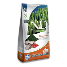 Bolsa alta de pienso espirulina arenque maxi, receta Adult Medium & Maxi, vista frontal