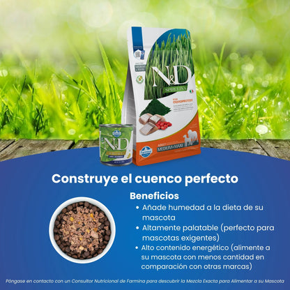 Saco, lata y cuenco de comida húmeda sobre césped con una lista de ventajas