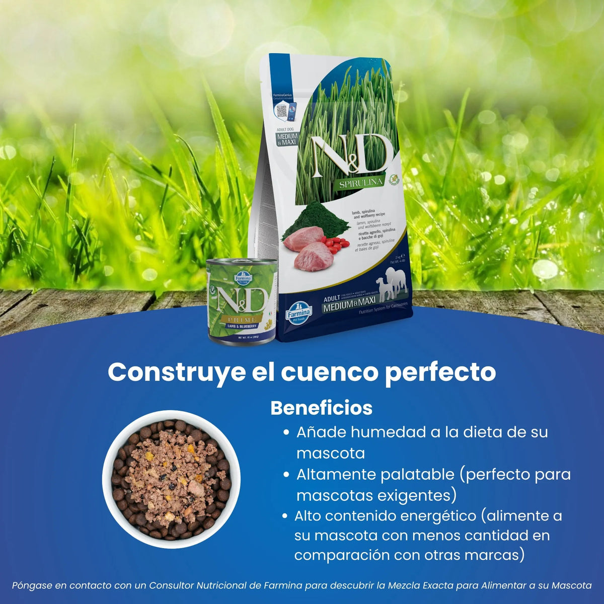 Saco y lata sobre hierba con un cuenco de comida húmeda y una lista de ventajas