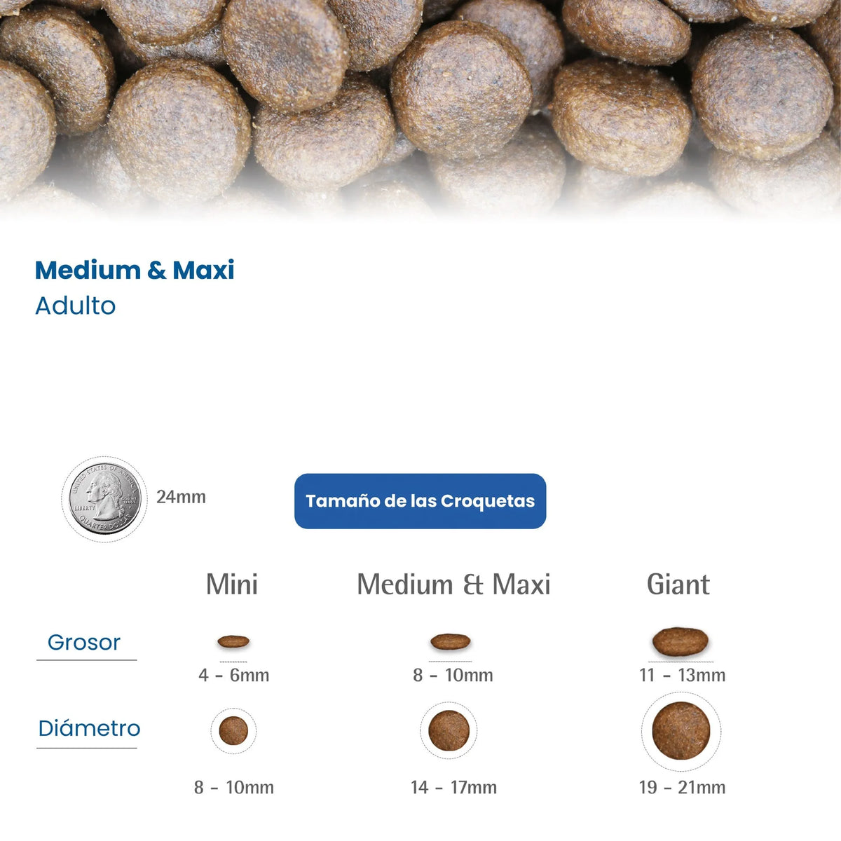 Infografía con foto de croquetas, moneda de referencia y tres tamaños con grosor y diámetro