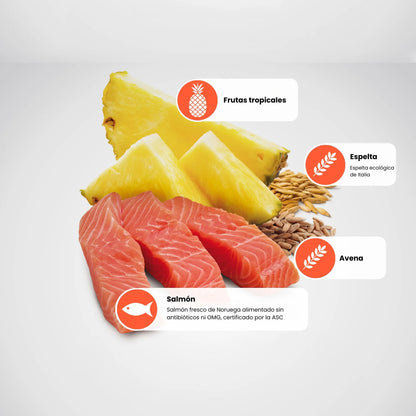 Trozos de piña, tres lomos de pescado crudo y espigas con etiquetas naranjas