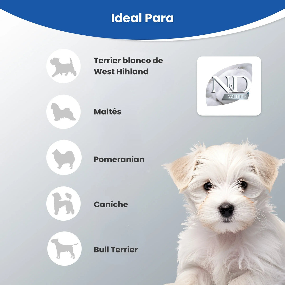Cinco siluetas de razas de pelo blanco y un cachorro blanco sobre fondo gris