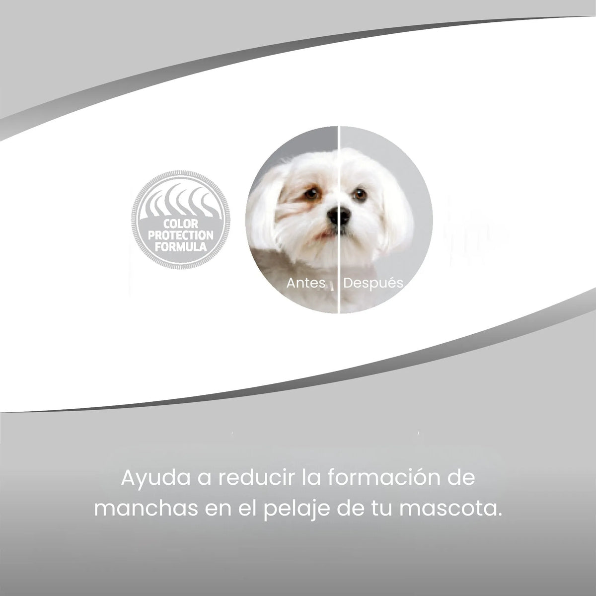 Sello Color Protection Formula y cara de un perro blanco dividida en antes y después