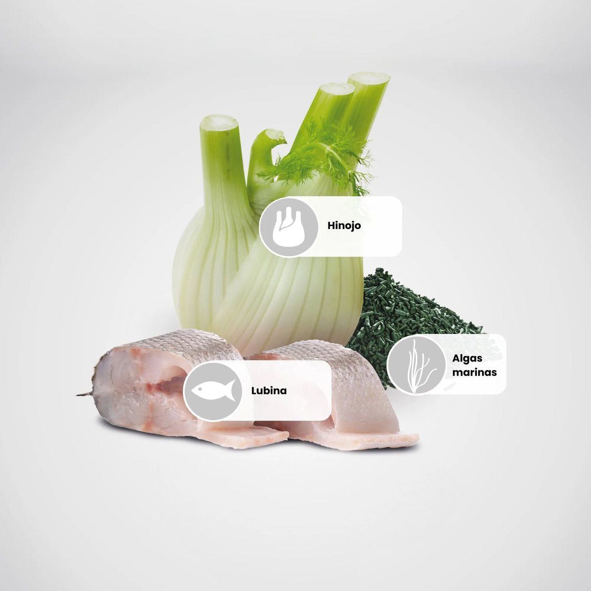 Hinojo, lubina cruda y espirulina, los ingredientes que nombran el pienso Farmina White para cachorros