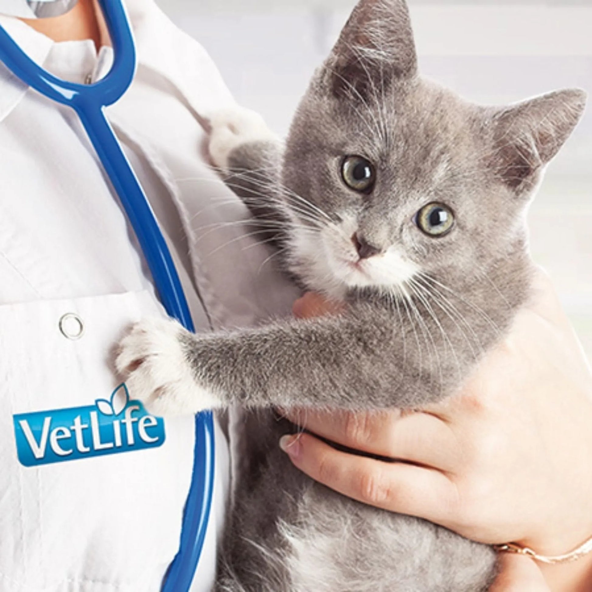 FARMINA VET LIFE NATURAL DIET CAT HEPATIC 12X85GR