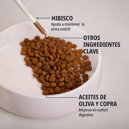 Jeringuilla de Feluro Virbac depositando líquido sobre croquetas en bol blanco, flechas señalando ingredientes activos: Hibisco para mantener orina estéril, otros ingredientes clave, aceites de oliva y copra para mejorar el confort digestivo