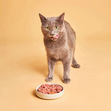 Gato relamiéndose delante de un cuenco de comida húmeda de cordero Calibra Life