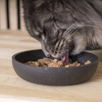 Gato gris atigrado comiendo comida húmeda HPM Digestive Support directamente de cuenco oscuro