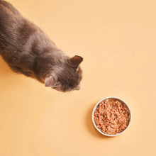 Gato acercándose al cuenco servido con sobres Calibra Life de ternera para gatos adultos