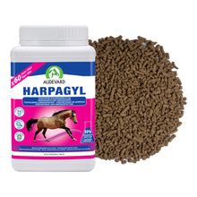 Bote de Harpagyl Audevard harpagofito para caballos junto a su granulado marrón